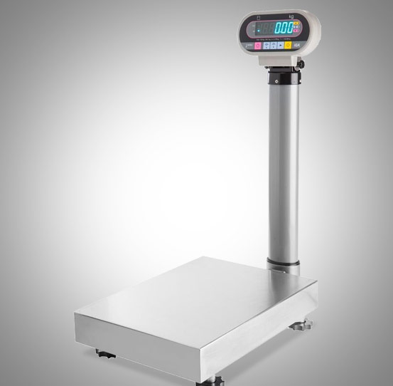 Ishida IG Series Platform Scale