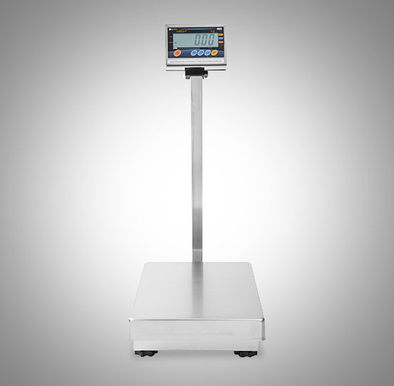 Ishida IW Series Platform Scale