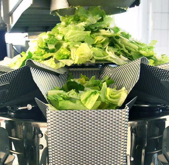 Industrial Weighing fresh produce, salad, and fruit