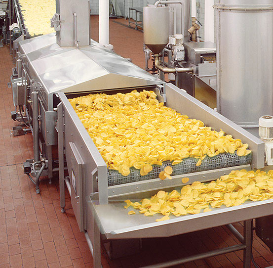 Continuous frying of tortilla chips with fryer support module