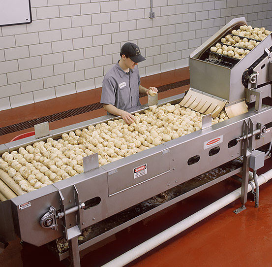 Inspection and trim conveyor for potatoes and vegetables