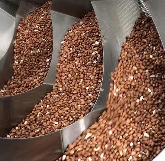 Equipment for continuous dry roasting of nuts