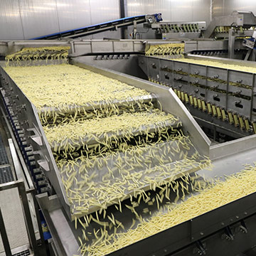 Food Processing Solutions from Key Technology