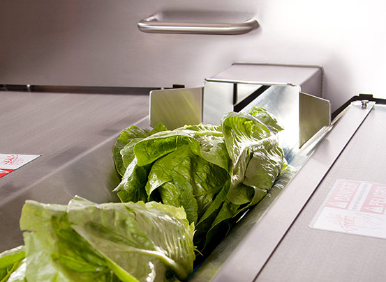 Lettuce in a Translicer slicing machine