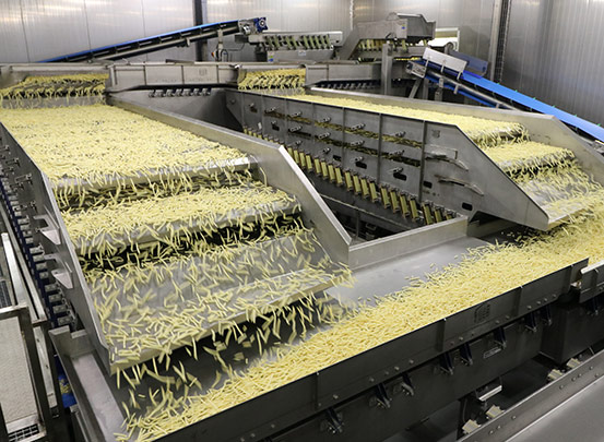 Key Technology vibratory conveyor for French fry