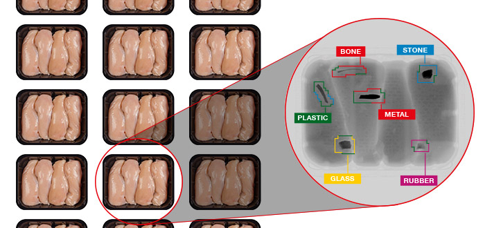 X-ray Detecting Bone, Stone, Plastic, Metal, Glass, Rubber