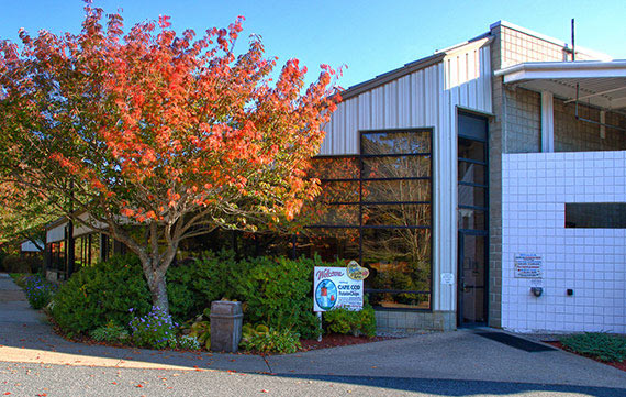 Cape Cod Potato Chip manufacturing plant