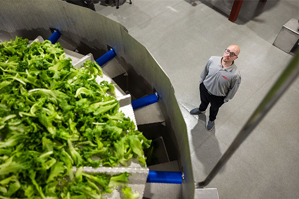 Salad on Multihead Weigher
