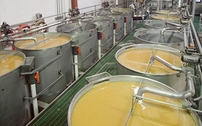 Traditional Masa Production Systems