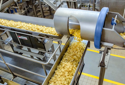 FastBack Potato Chip Conveyors