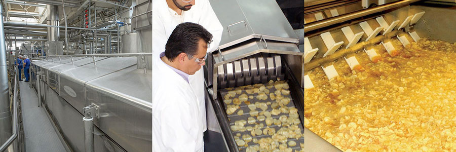 Industrial chip fryers