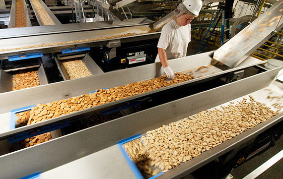 Heat and Control conveying systems for cookies
