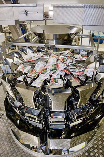 Ishida fruit snack weigher