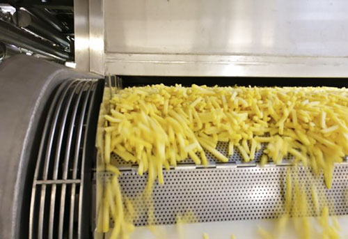 Tek-Dry French Fry Dryer