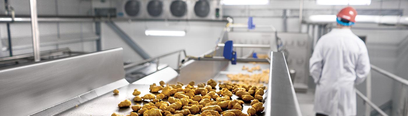 Chicken nuggets on horizontal motion conveyor