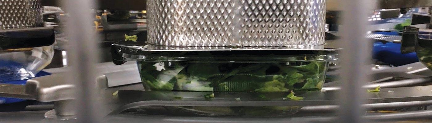 Machine filling trays with salad