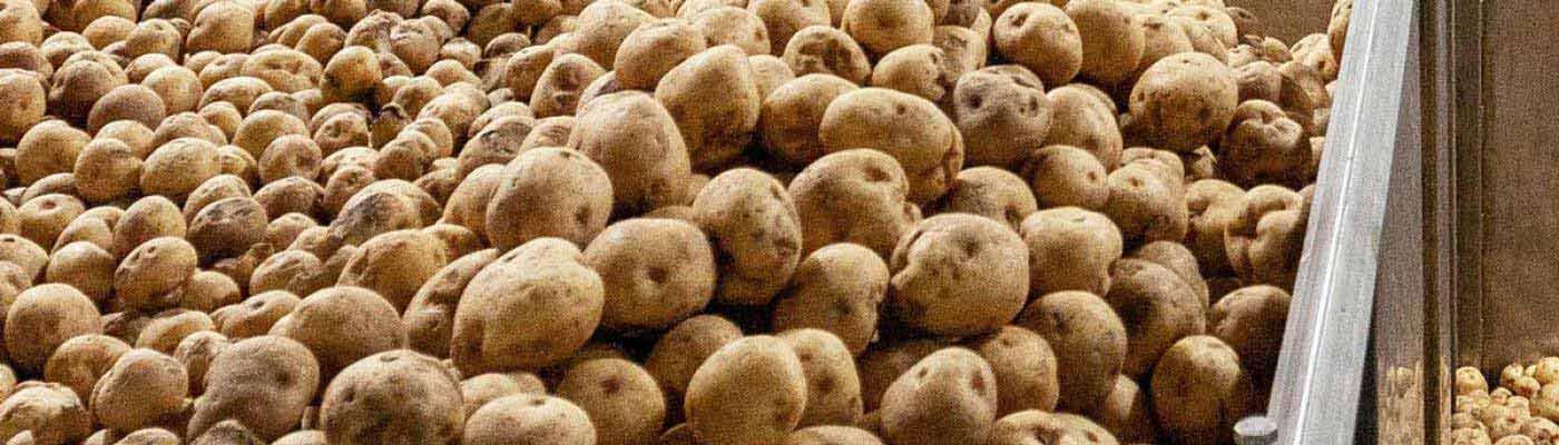 Potato Handling