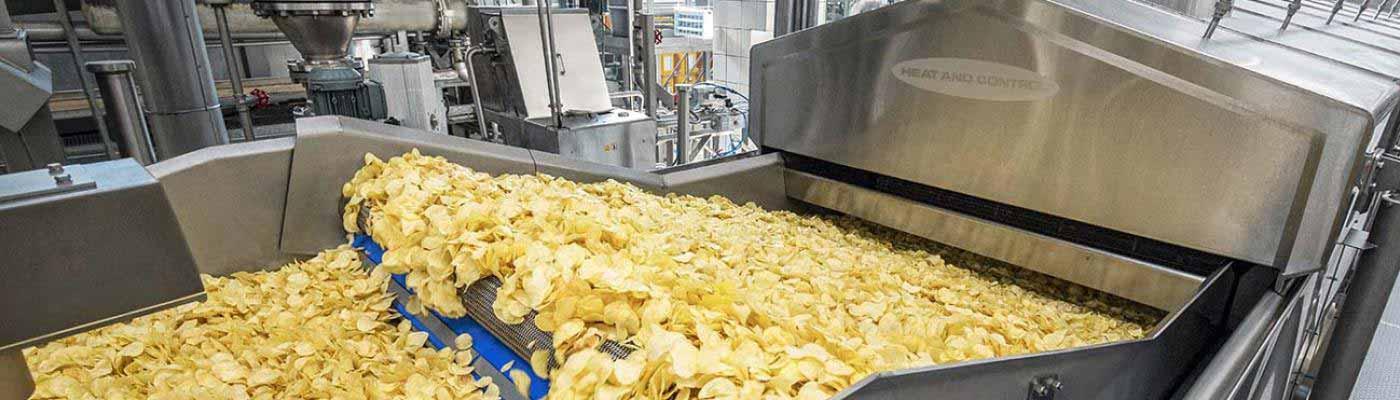 Potato Chips Batch Frying Machine/French Fries Frying Machine/Food