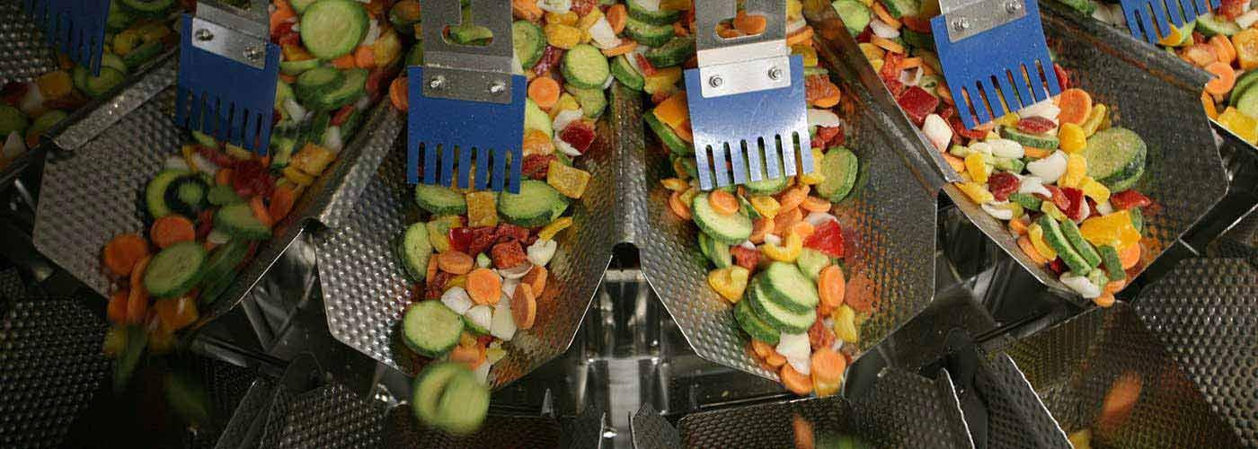 Industrial Frozen Vegetable Processing