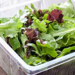 Fresh Produce Industry - Vegetables, Salad & Fruit