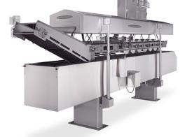 Potato Chip Fryer Brochure