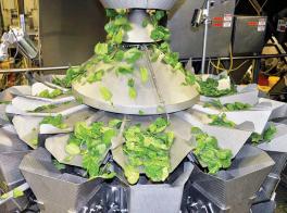 Salad Weigher with Rotary Sweeper