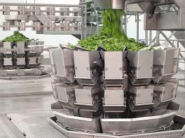 Fresh Cut Produce Weighers Video - English