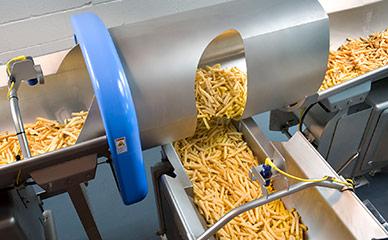 Conveying french fries in food processing line