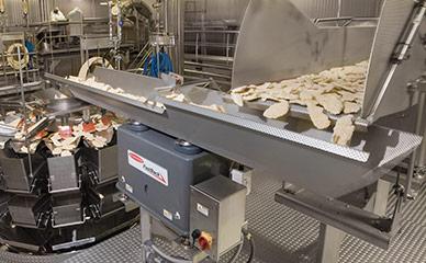 Conveying frozen poultry to weigher and packaging