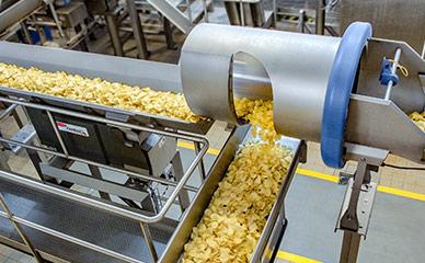 Conveying processed potato chips to seasoning and packaging equipment