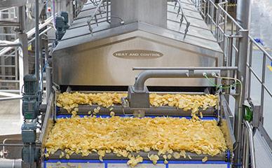 Industry leader in potato chip frying systems