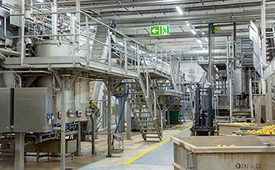 Support structures and platforms for potato chip processing lines