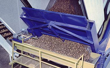 Unloading potatoes for potato chip production line