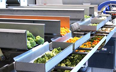 Blending systems for mixed vegetables, fruit and salad