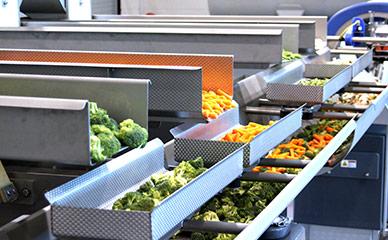 Vegetables Salad Fruit Weighing Filling Inspection Food processing is the transformation of agricultural products into food, or of one form of food into other forms. vegetables salad fruit weighing
