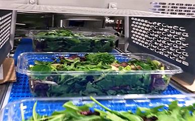 Tray filling for salad, fruit and fresh produce