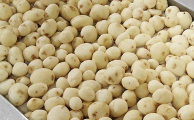 Peel, grade, and inspect potatoes for french fry processing line