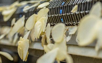 Slicing potatoes for kettle chips