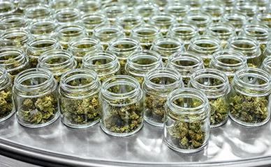 Relleno para productos de cannabis