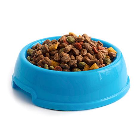 Pet Food Industry Equipment