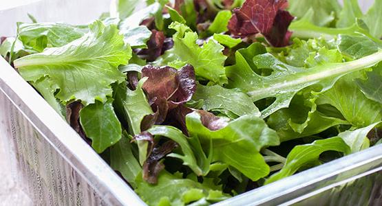 Fresh Produce Industry - Vegetables, Salad & Fruit