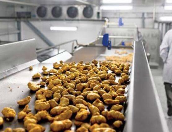 Mountain Top Foods poultry on horizontal motion conveyor