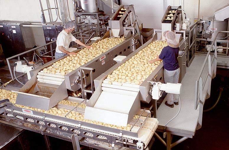 Potato inspection conveyor