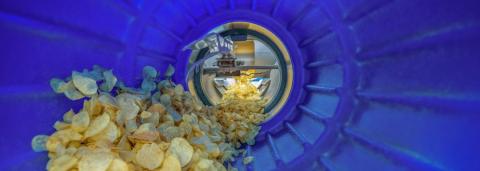 On-Machine Seasoning of Potato Chips